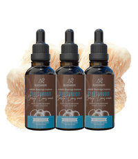 Paket 3x – BIO CereShroom Clarity (Resasti bradovec)