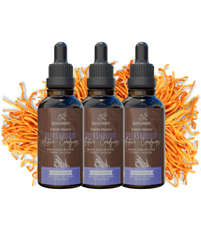Paket 3x – BIO VitaShroom Active (Kordiceps)