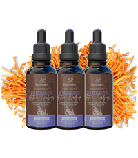 Paket 3x – BIO VitaShroom Active (Kordiceps)